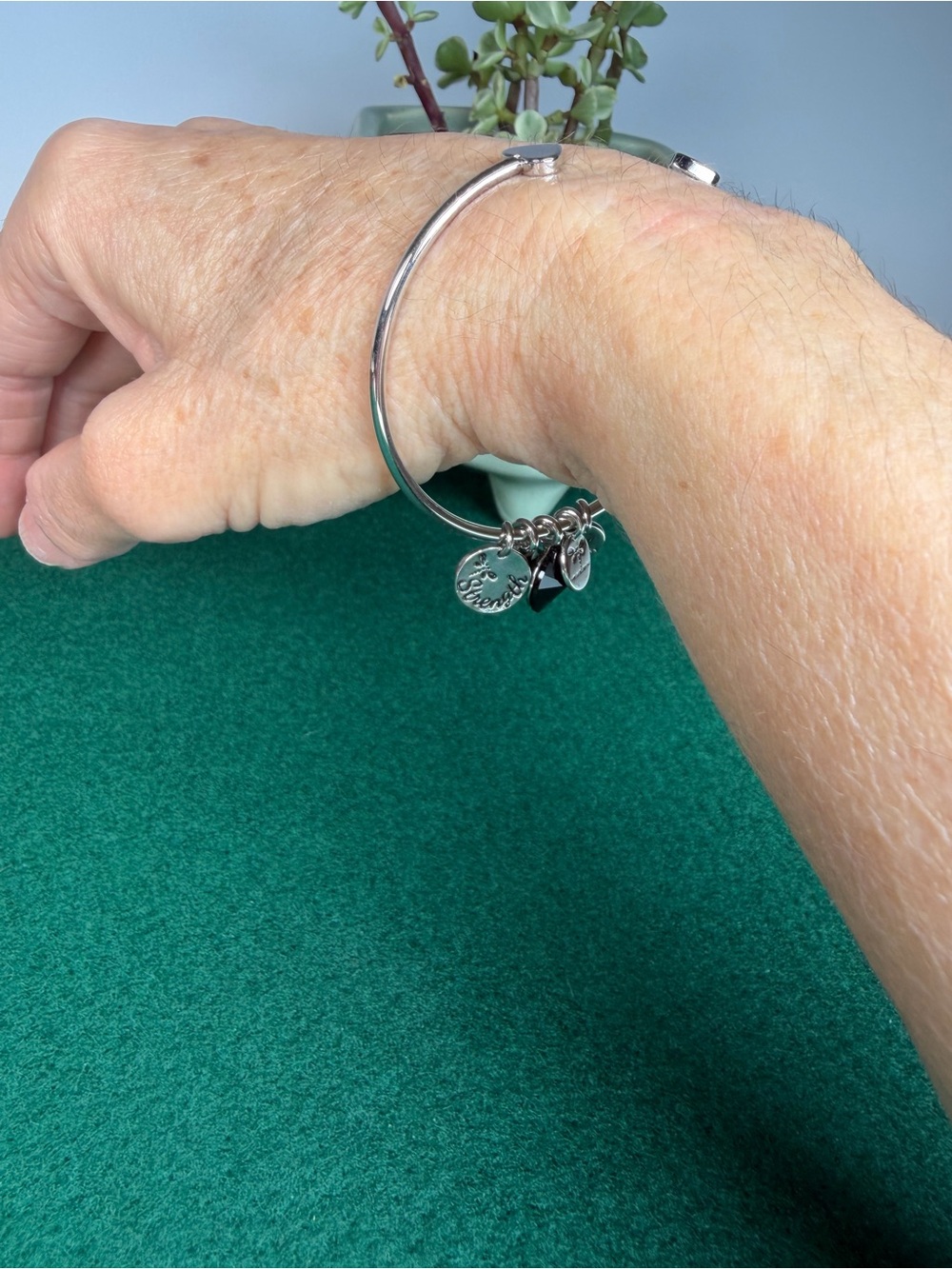 Alex and Ani Serenity Dragonfly Charm Bangle Bracelet Silver Tone Black Crystal